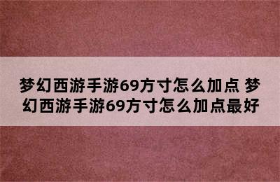 梦幻西游手游69方寸怎么加点 梦幻西游手游69方寸怎么加点最好